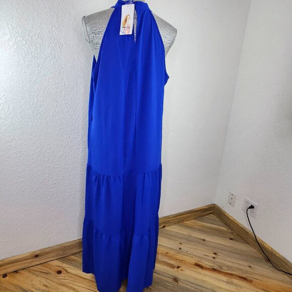 PRETTY GARDEN BLUE Maxi Halter Neck Ruffle Hem Dress Size XL - Picture 9 of 12